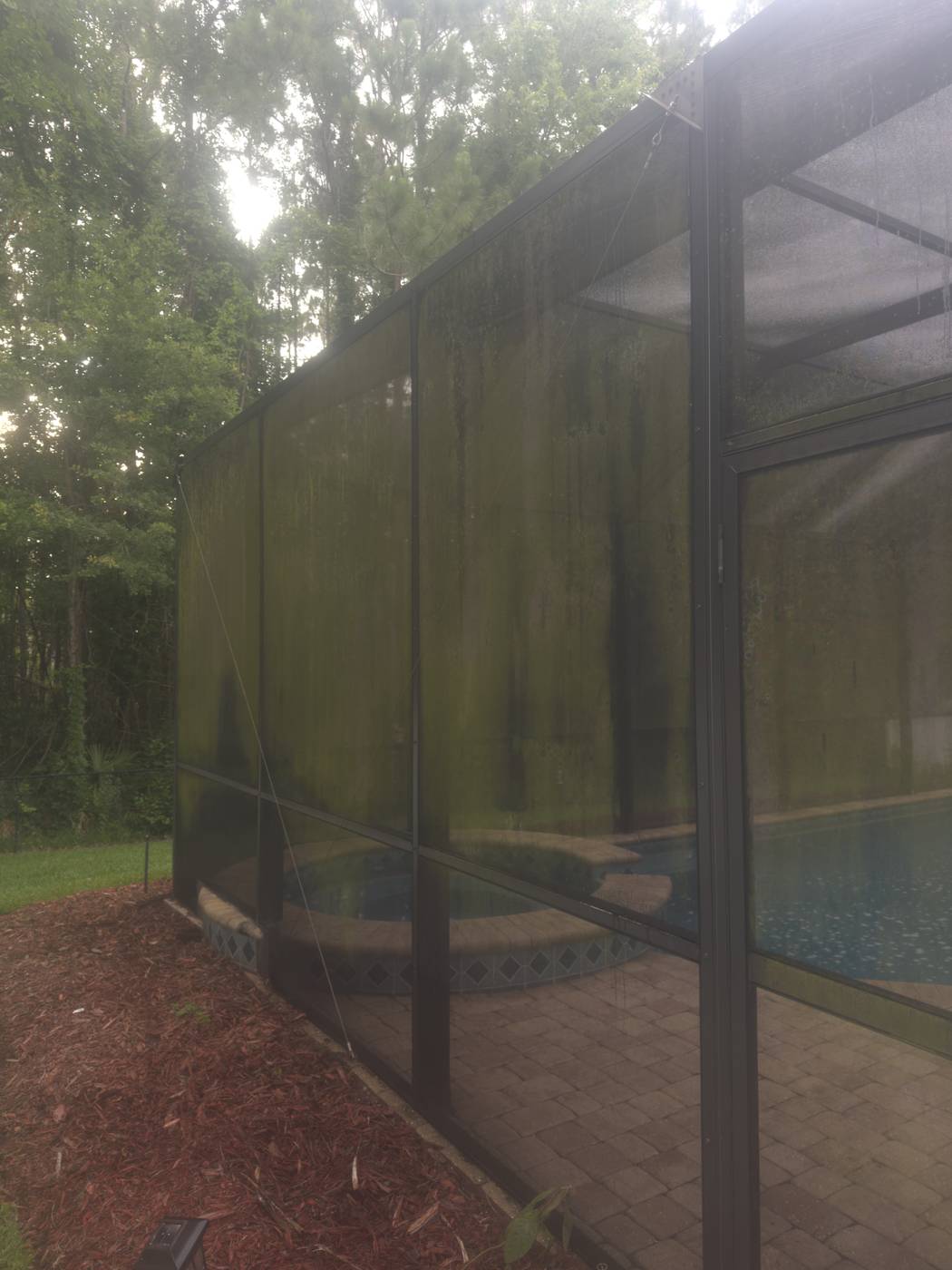 Pool screen enclosure after cleaning, clear and bright