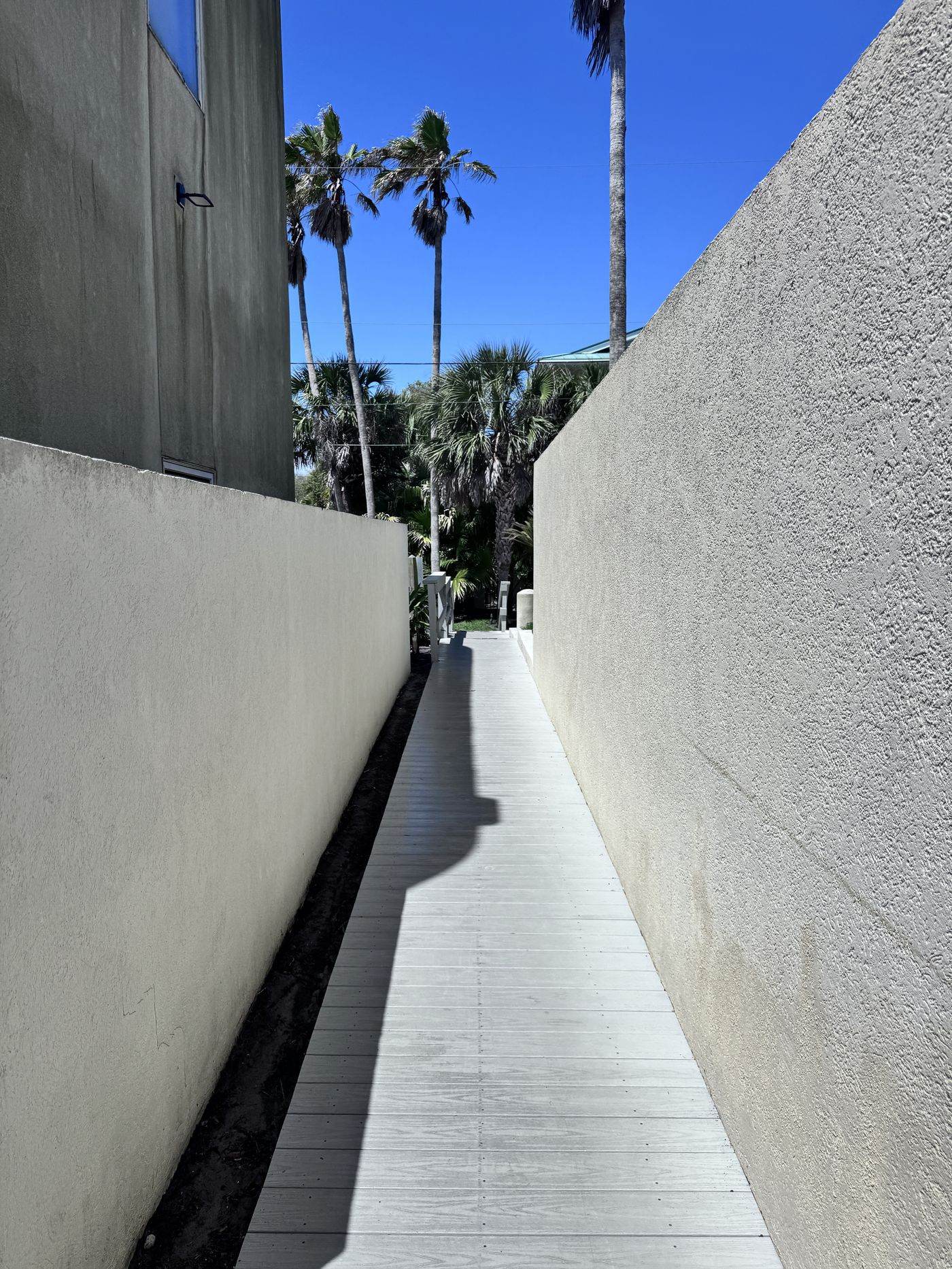 Walkway before cleaning, green algae on walls